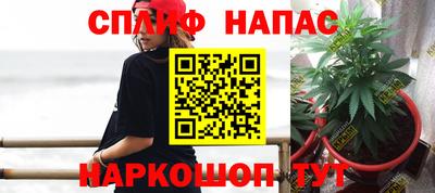 ПСИЛОЦИБИНОВЫЕ ГРИБЫ Краснодар