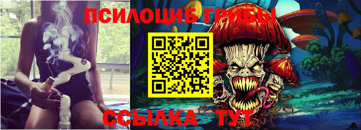 Псилоцибиновые грибы Cubensis Звенигород
