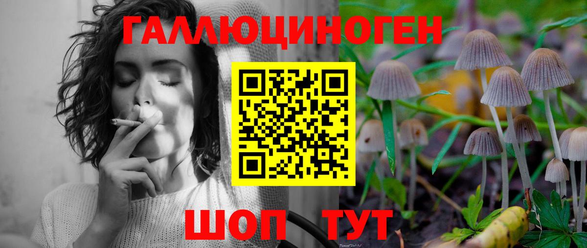 Галлюциногенные грибы мицелий  Вход с VPN  Звенигород  хочу наркоту  Галлюциногенные грибы Cubensis 